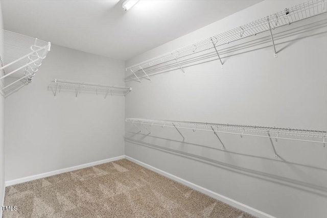 1018 Laredo Ln, Durham, NC 27703 - photo 34