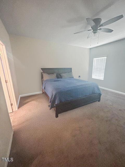 44 Coneflower Ct, Clayton, NC 27520 - photo 14