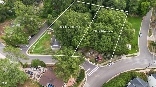 216 N Dixon Ave, Cary, NC 27513 - photo 5