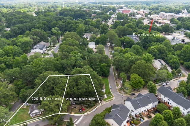 216 N Dixon Ave, Cary, NC 27513 - photo 1