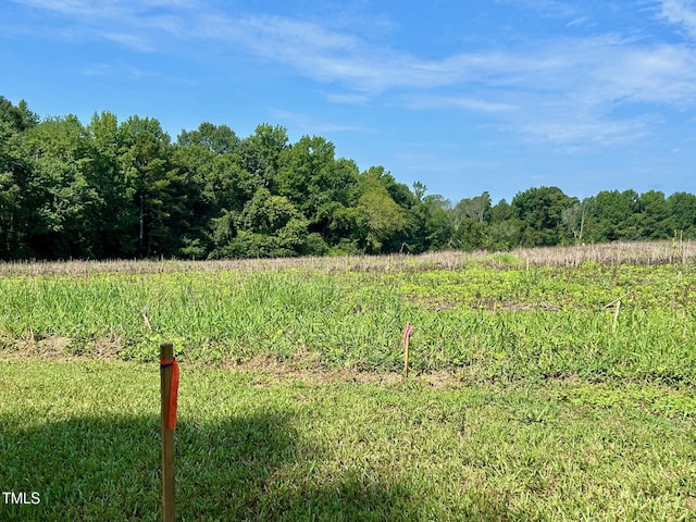 00 Walter Bright Rd, Sanford, NC 27330 - photo 3