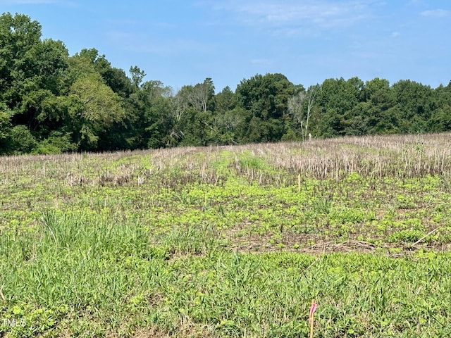 00 Walter Bright Rd, Sanford, NC 27330 - photo 4