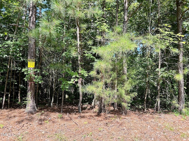 00 Walter Bright Rd, Sanford, NC 27330 - photo 7