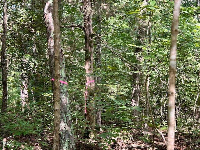 00 Walter Bright Rd, Sanford, NC 27330 - photo 8