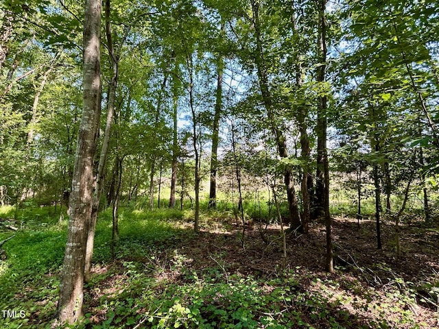 00 Walter Bright Rd, Sanford, NC 27330 - photo 10