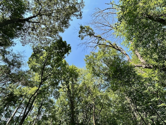 00 Walter Bright Rd, Sanford, NC 27330 - photo 11