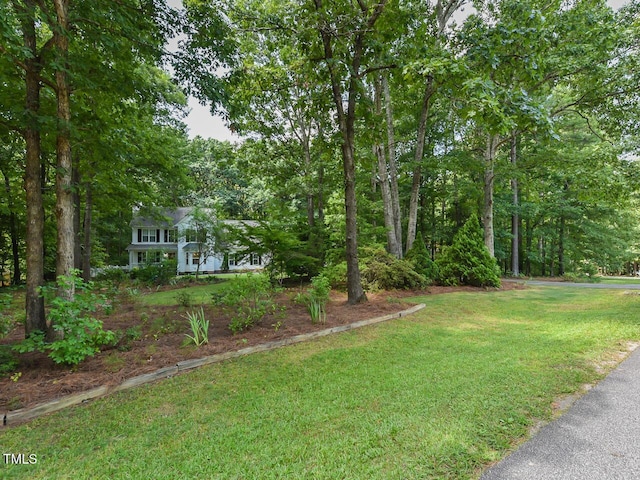 125 Walker Run, Selma, NC 27576 - photo 3