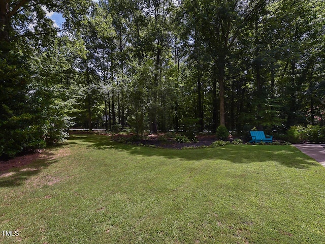 125 Walker Run, Selma, NC 27576 - photo 8