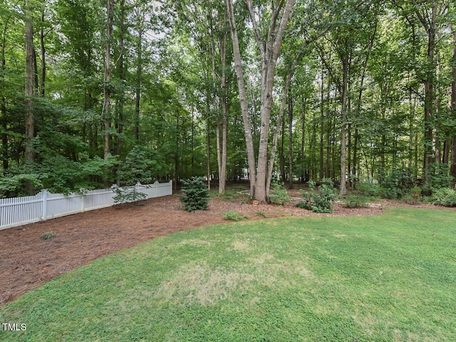 125 Walker Run, Selma, NC 27576 - photo 41