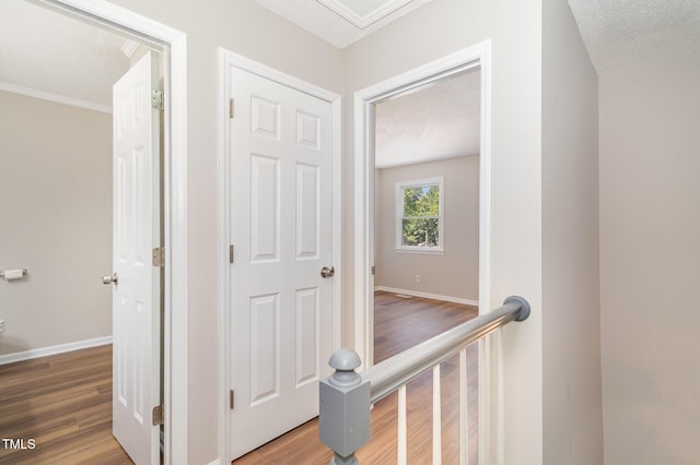 806 Kendall Dr, Durham, NC 27703 - photo 24