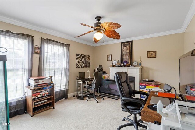 3904 Jonesville Rd, Wake Forest, NC 27587 - photo 10