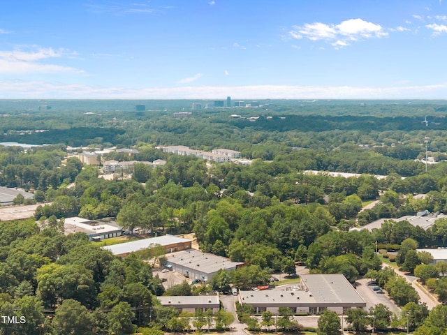 6141 Beale Loop, Raleigh, NC 27616 - photo 28