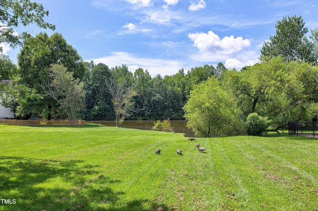 308 E Maple Ave, Holly Springs, NC 27540 - photo 25