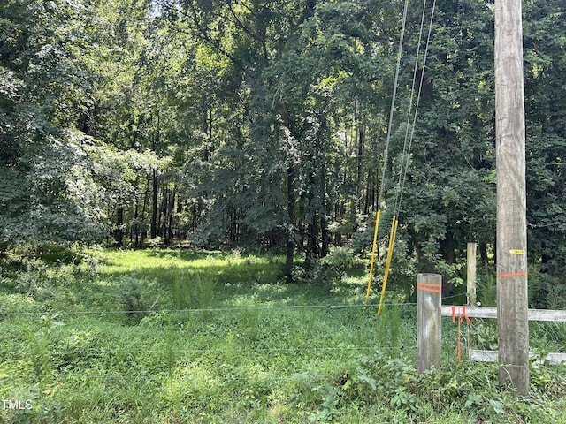 TractA Frazier Road, Spring Hope, NC 27882 - photo 2