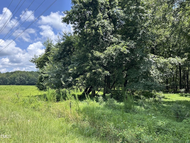 TractA Frazier Road, Spring Hope, NC 27882 - photo 4