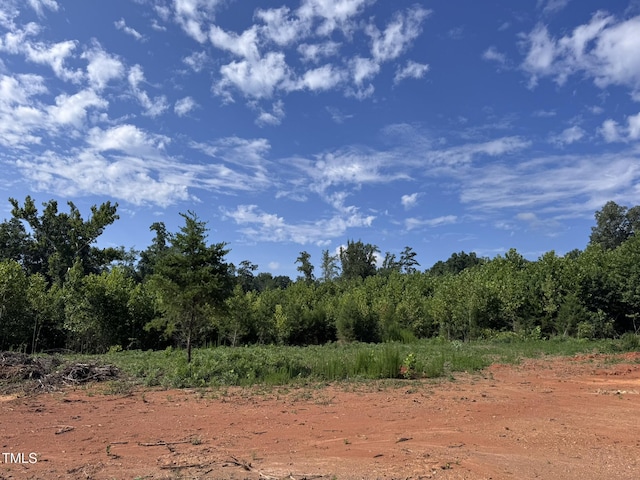 2 Gray Rd, Rougemont, NC 27572 - photo 4