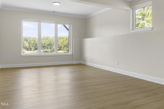 704 Russell St, Sanford, NC 27330 - photo 28