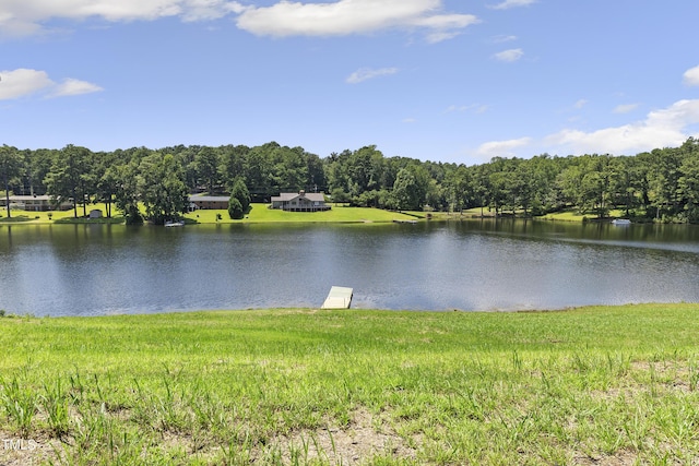 704 Russell St, Sanford, NC 27330 - photo 46