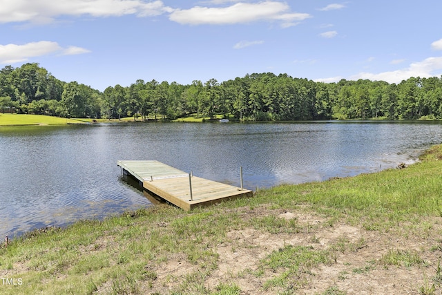 704 Russell St, Sanford, NC 27330 - photo 47