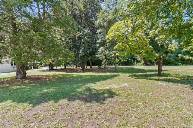 5901 Goldsboro Rd, Wade, NC 28395 - photo 47