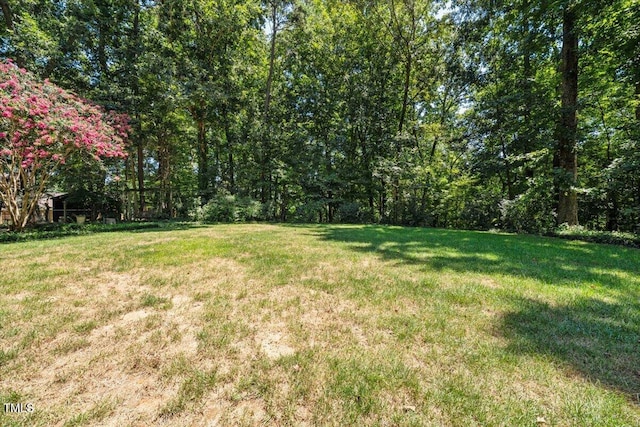 1057 Red Bird Ct, Randleman, NC 27317 - photo 29