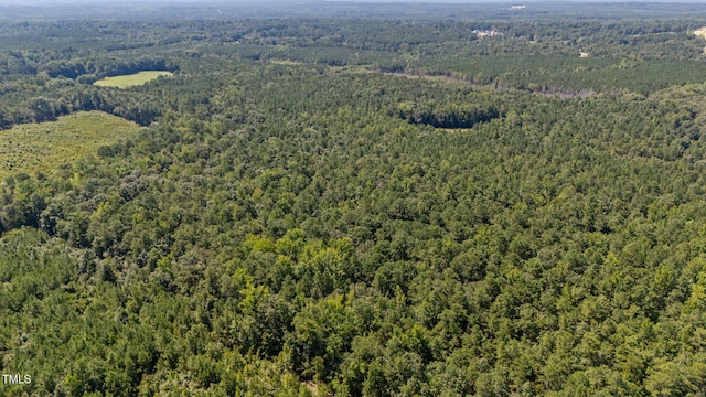 1C Ponderosa Rd, Cameron, NC 28326 - photo 5