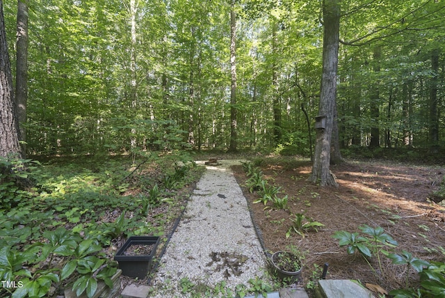 4524 Ridge Trl, Efland, NC 27243 - photo 30
