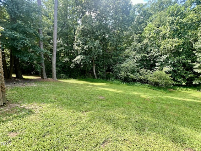 1214 Delham Rd, Knightdale, NC 27545 - photo 28