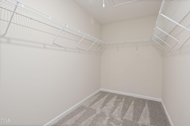 1319 Everton Ave, Durham, NC 27703 - photo 15
