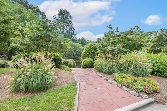 308 Kettlebridge Dr, Cary, NC 27511 - photo 88