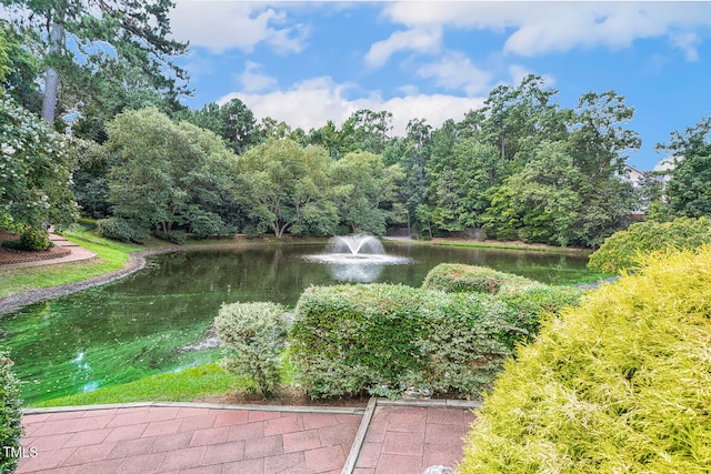 308 Kettlebridge Dr, Cary, NC 27511 - photo 89