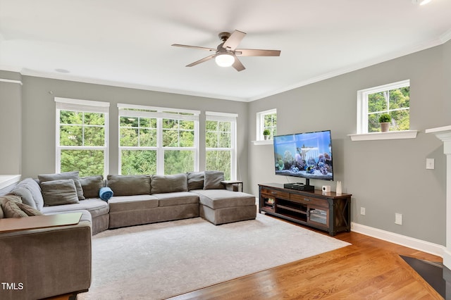 821 Ancient Oaks Dr, Holly Springs, NC 27540 - photo 11