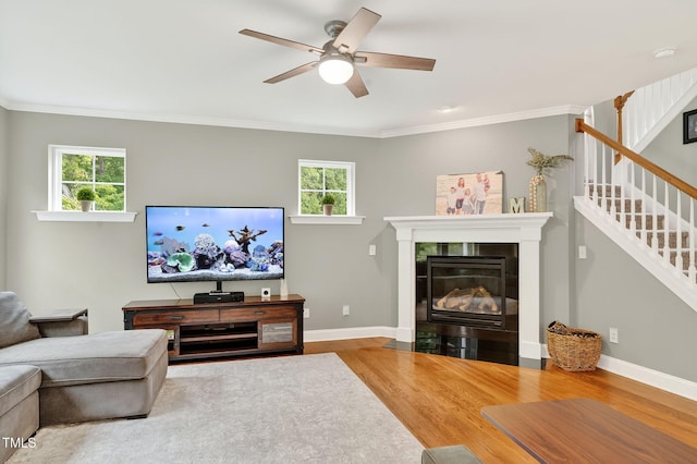 821 Ancient Oaks Dr, Holly Springs, NC 27540 - photo 12