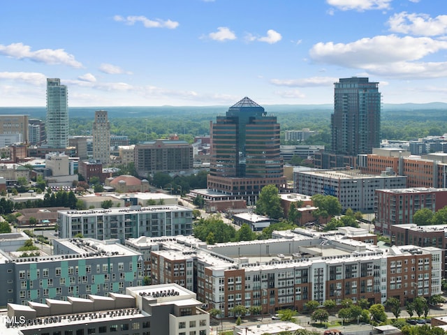 216 W Geer St Unit A, Durham, NC 27701 - photo 48