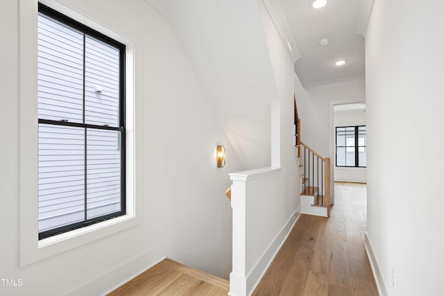 618 Velma Hopkins Ln, Raleigh, NC 27603 - photo 51