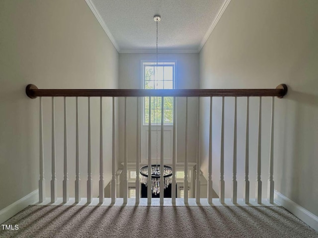 2314 Colony Woods Dr, Apex, NC 27523 - photo 34