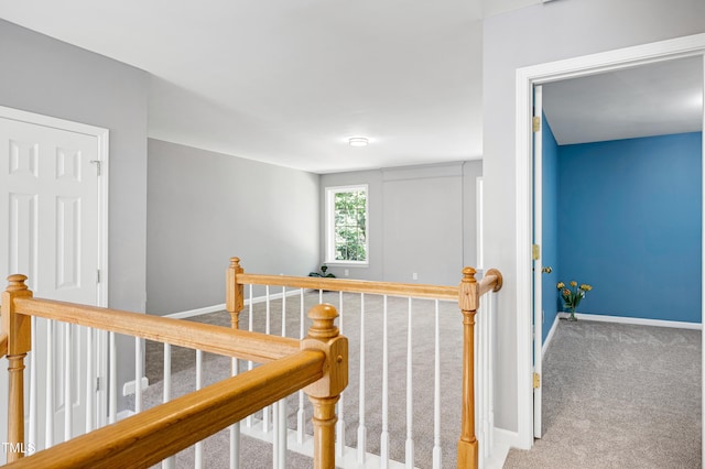 112 Gingerlilly Ct, Holly Springs, NC 27540 - photo 33