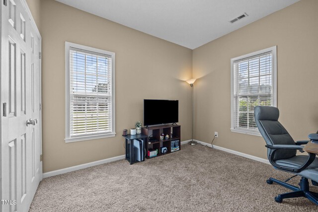 904 Willow Leaf Ct, Dunn, NC 28334 - photo 30