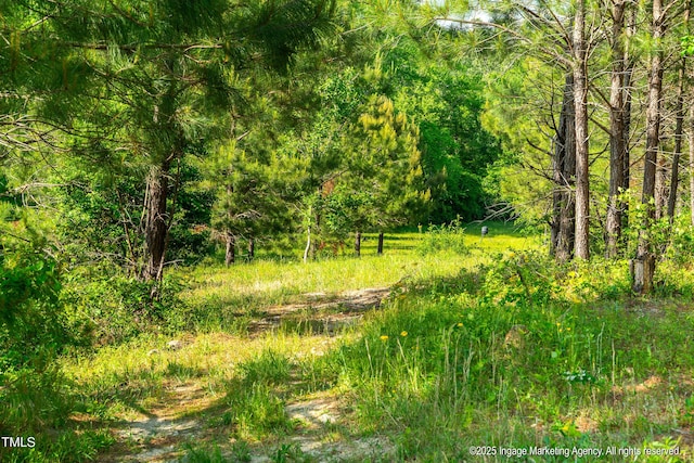 8295 Antioch Church Rd, Middlesex, NC 27557 - photo 23