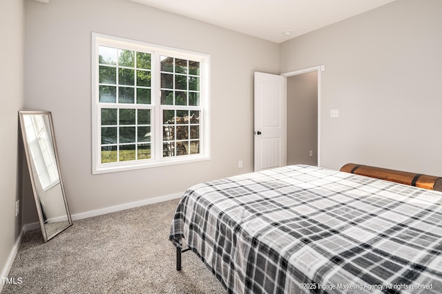 8295 Antioch Church Rd, Middlesex, NC 27557 - photo 51