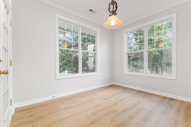 8031 Allyns Landing Way Unit 303, Raleigh, NC 27615 - photo 9