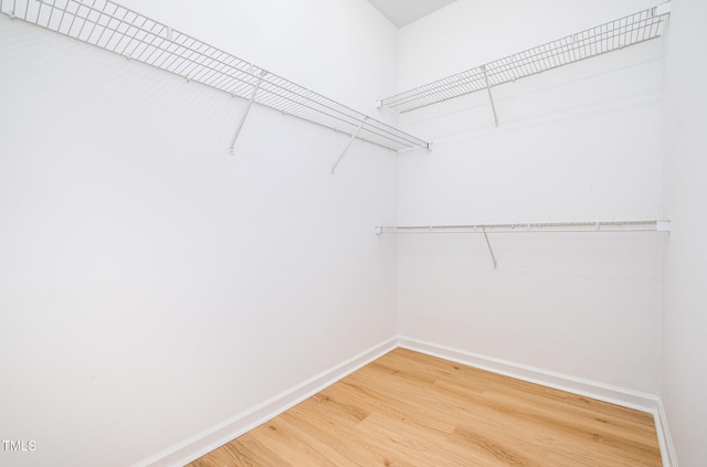 8031 Allyns Landing Way Unit 303, Raleigh, NC 27615 - photo 15