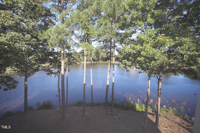 8031 Allyns Landing Way Unit 303, Raleigh, NC 27615 - photo 2
