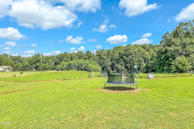 1325 Pixley Pritchard Rd, Timberlake, NC 27583 - photo 24