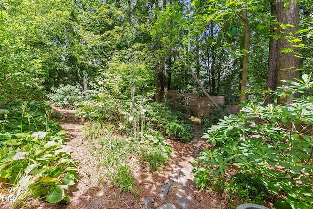 4605 Fernham Pl, Raleigh, NC 27612 - photo 54