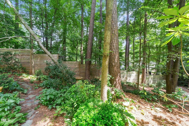 4605 Fernham Pl, Raleigh, NC 27612 - photo 55