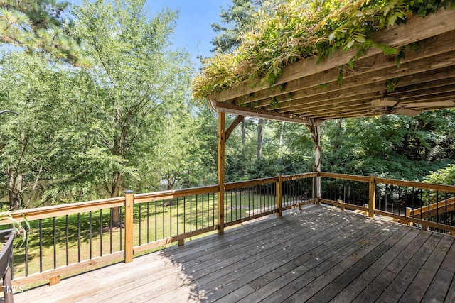 10708 Trappers Creek Dr, Raleigh, NC 27614 - photo 31