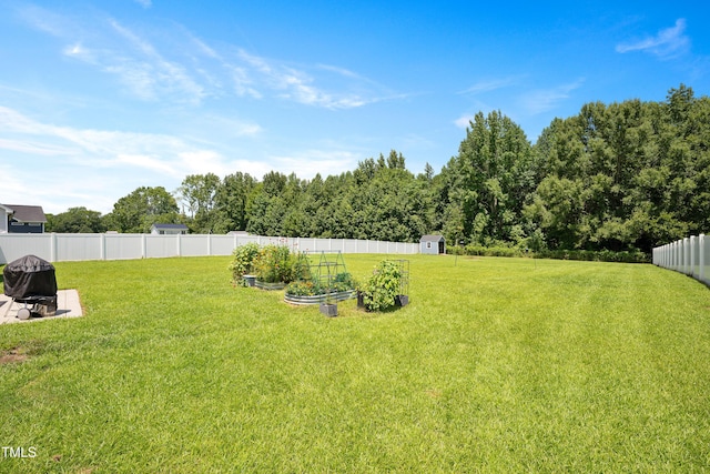 76 Day Lily St, Selma, NC 27576 - photo 24