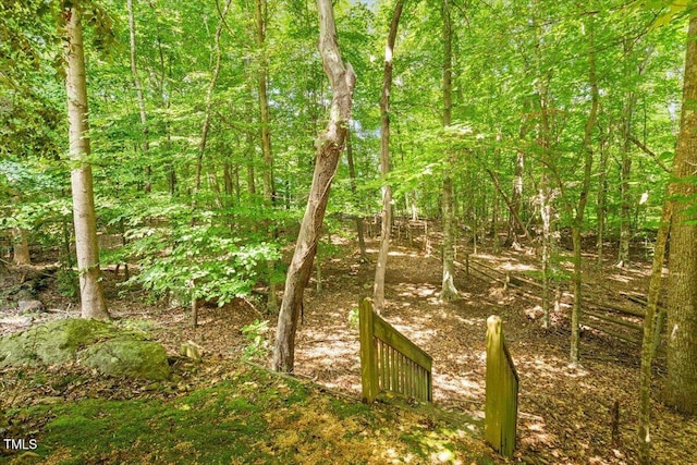 301 Cates Farm Rd, Chapel Hill, NC 27516 - photo 56