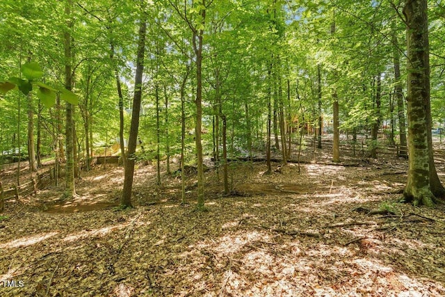 301 Cates Farm Rd, Chapel Hill, NC 27516 - photo 57